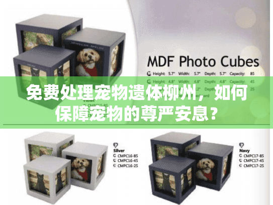 免费处理宠物遗体柳州，如何保障宠物的尊严安息？