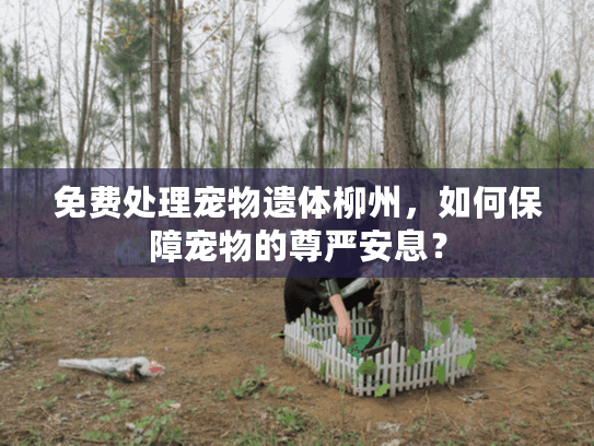 免费处理宠物遗体柳州，如何保障宠物的尊严安息？