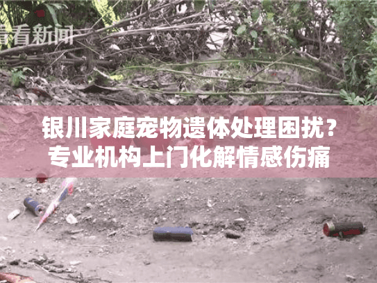 银川家庭宠物遗体处理困扰？专业机构上门化解情感伤痛