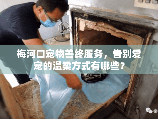 梅河口宠物善终服务，告别爱宠的温柔方式有哪些？