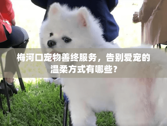梅河口宠物善终服务，告别爱宠的温柔方式有哪些？