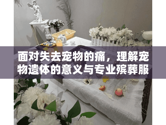 面对失去宠物的痛，理解宠物遗体的意义与专业殡葬服务的选择