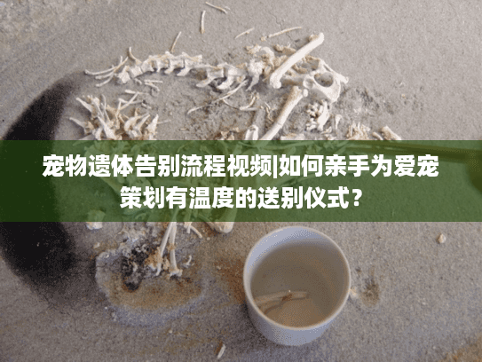 宠物遗体告别流程视频|如何亲手为爱宠策划有温度的送别仪式？