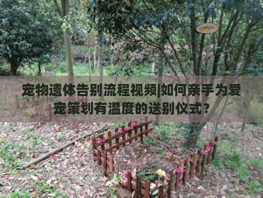宠物遗体告别流程视频|如何亲手为爱宠策划有温度的送别仪式？