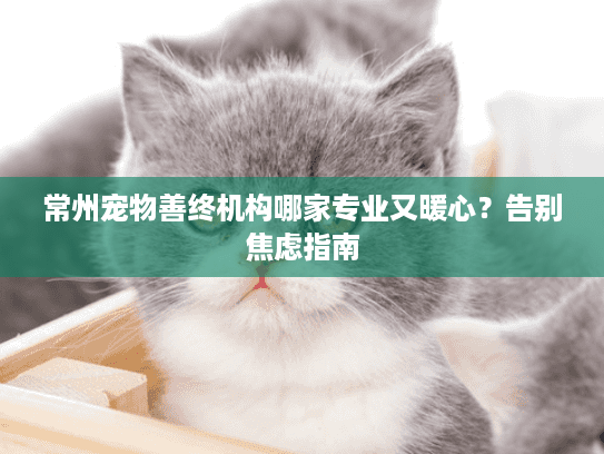 常州宠物善终机构哪家专业又暖心？告别焦虑指南