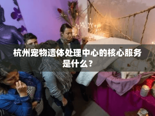 杭州宠物遗体处理中心的核心服务是什么？