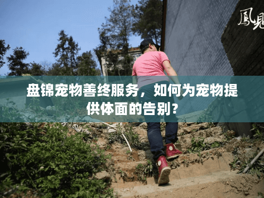盘锦宠物善终服务，如何为宠物提供体面的告别？