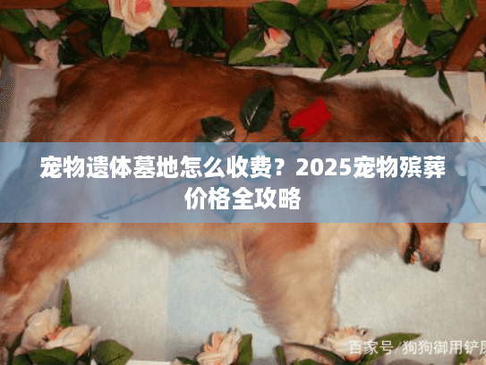 宠物遗体墓地怎么收费？2025宠物殡葬价格全攻略