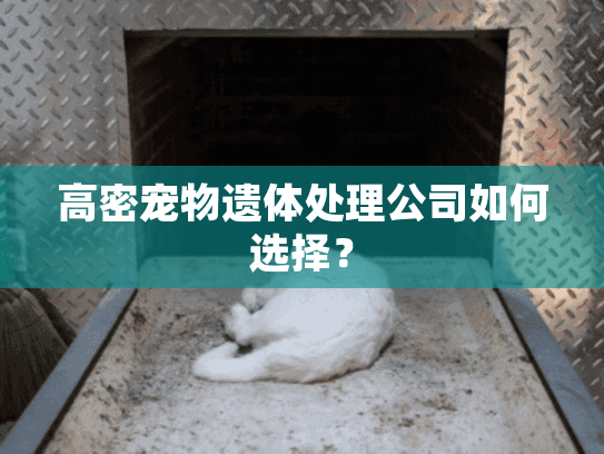 高密宠物遗体处理公司如何选择？