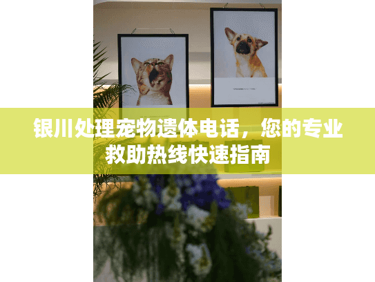 银川处理宠物遗体电话，您的专业救助热线快速指南