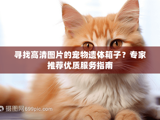 寻找高清图片的宠物遗体箱子？专家推荐优质服务指南