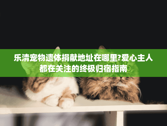 乐清宠物遗体捐献地址在哪里?爱心主人都在关注的终极归宿指南