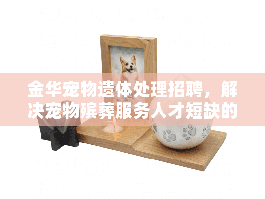 金华宠物遗体处理招聘，解决宠物殡葬服务人才短缺的实用指南