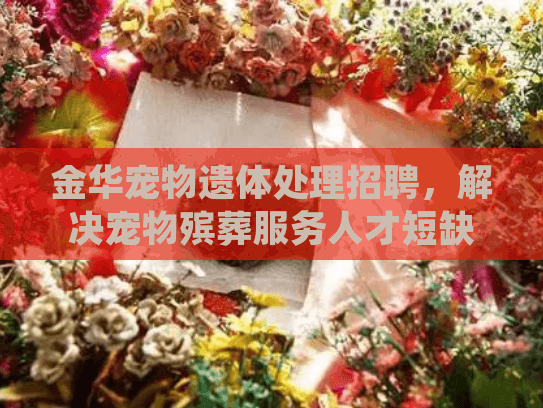 金华宠物遗体处理招聘，解决宠物殡葬服务人才短缺的实用指南