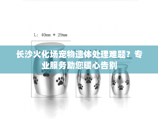 长沙火化场宠物遗体处理难题？专业服务助您暖心告别