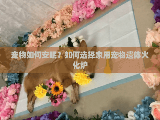 宠物如何安眠？如何选择家用宠物遗体火化炉
