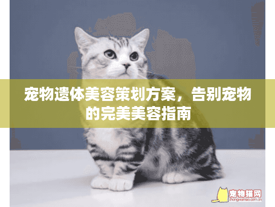 宠物遗体美容策划方案，告别宠物的完美美容指南
