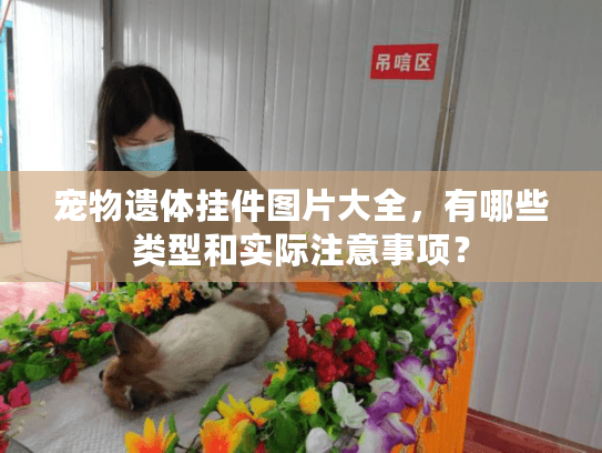 宠物遗体挂件图片大全，有哪些类型和实际注意事项？