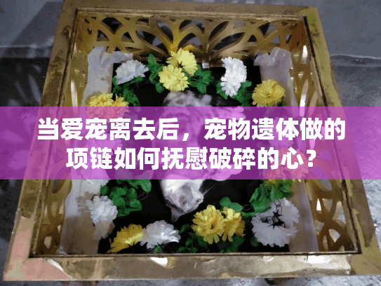 当爱宠离去后，宠物遗体做的项链如何抚慰破碎的心？