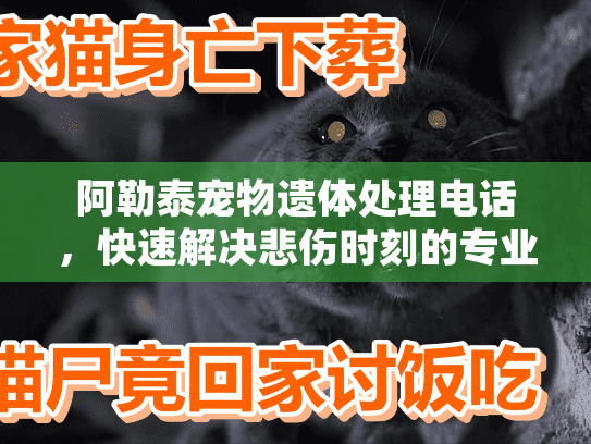 阿勒泰宠物遗体处理电话，快速解决悲伤时刻的专业指南