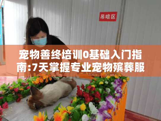 宠物善终培训0基础入门指南:7天掌握专业宠物殡葬服务技能