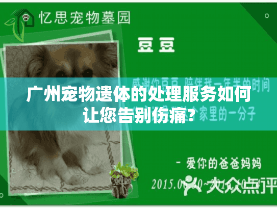广州宠物遗体的处理服务如何让您告别伤痛？