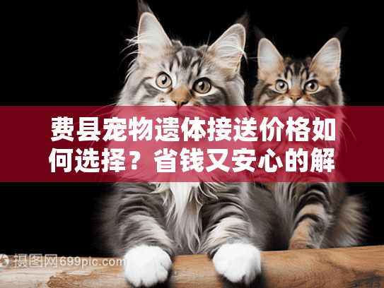费县宠物遗体接送价格如何选择？省钱又安心的解决方案