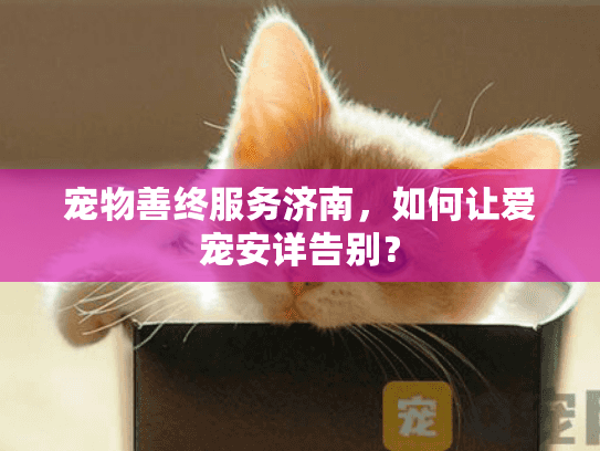 宠物善终服务济南，如何让爱宠安详告别？