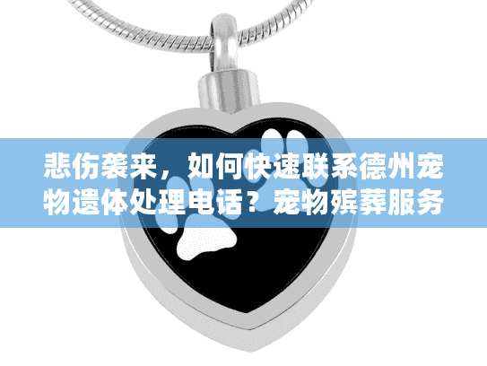 悲伤袭来，如何快速联系德州宠物遗体处理电话？宠物殡葬服务热线指南
