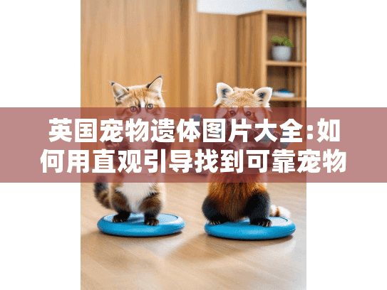 英国宠物遗体图片大全:如何用直观引导找到可靠宠物殡葬服务