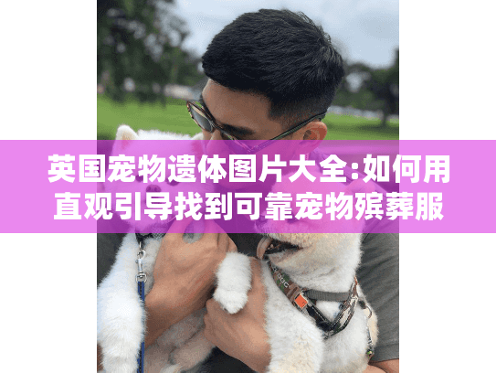 英国宠物遗体图片大全:如何用直观引导找到可靠宠物殡葬服务