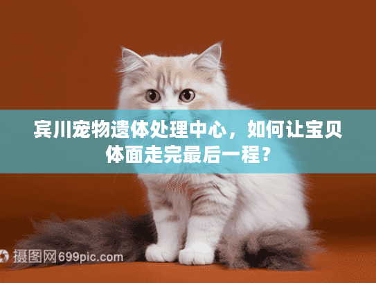宾川宠物遗体处理中心，如何让宝贝体面走完最后一程？