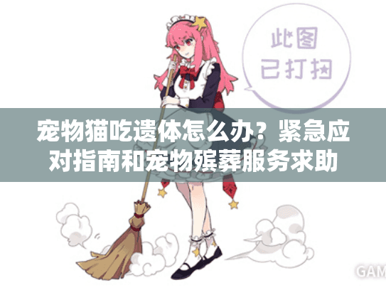 宠物猫吃遗体怎么办？紧急应对指南和宠物殡葬服务求助