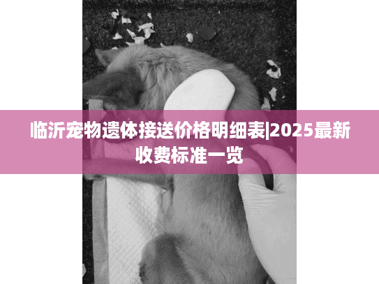 临沂宠物遗体接送价格明细表|2025最新收费标准一览