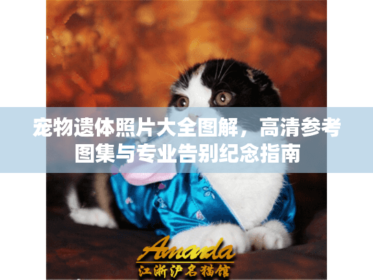 宠物遗体照片大全图解，高清参考图集与专业告别纪念指南
