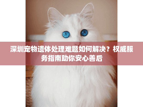 深圳宠物遗体处理难题如何解决？权威服务指南助你安心善后