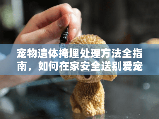 宠物遗体掩埋处理方法全指南，如何在家安全送别爱宠