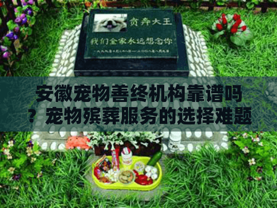 安徽宠物善终机构靠谱吗？宠物殡葬服务的选择难题解答