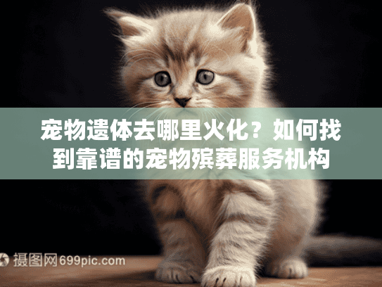 宠物遗体去哪里火化？如何找到靠谱的宠物殡葬服务机构