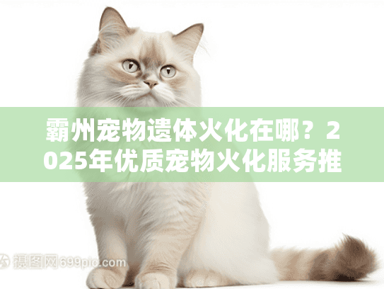 霸州宠物遗体火化在哪？2025年优质宠物火化服务推荐