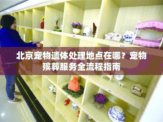 北京宠物遗体处理地点在哪？宠物殡葬服务全流程指南