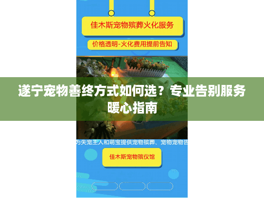 遂宁宠物善终方式如何选？专业告别服务暖心指南