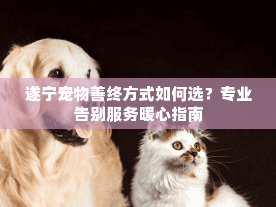 遂宁宠物善终方式如何选？专业告别服务暖心指南