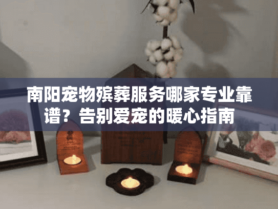南阳宠物殡葬服务哪家专业靠谱？告别爱宠的暖心指南
