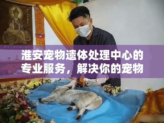 淮安宠物遗体处理中心的专业服务，解决你的宠物殡葬难题？