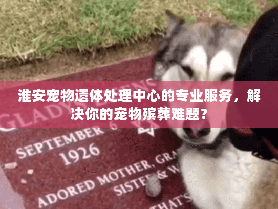 淮安宠物遗体处理中心的专业服务，解决你的宠物殡葬难题？