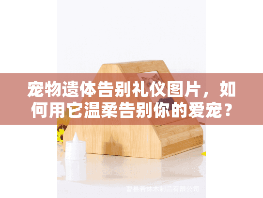 宠物遗体告别礼仪图片，如何用它温柔告别你的爱宠？