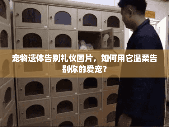 宠物遗体告别礼仪图片，如何用它温柔告别你的爱宠？