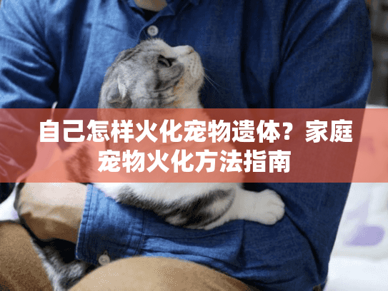 自己怎样火化宠物遗体？家庭宠物火化方法指南