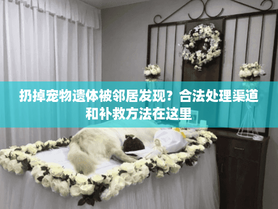 扔掉宠物遗体被邻居发现？合法处理渠道和补救方法在这里